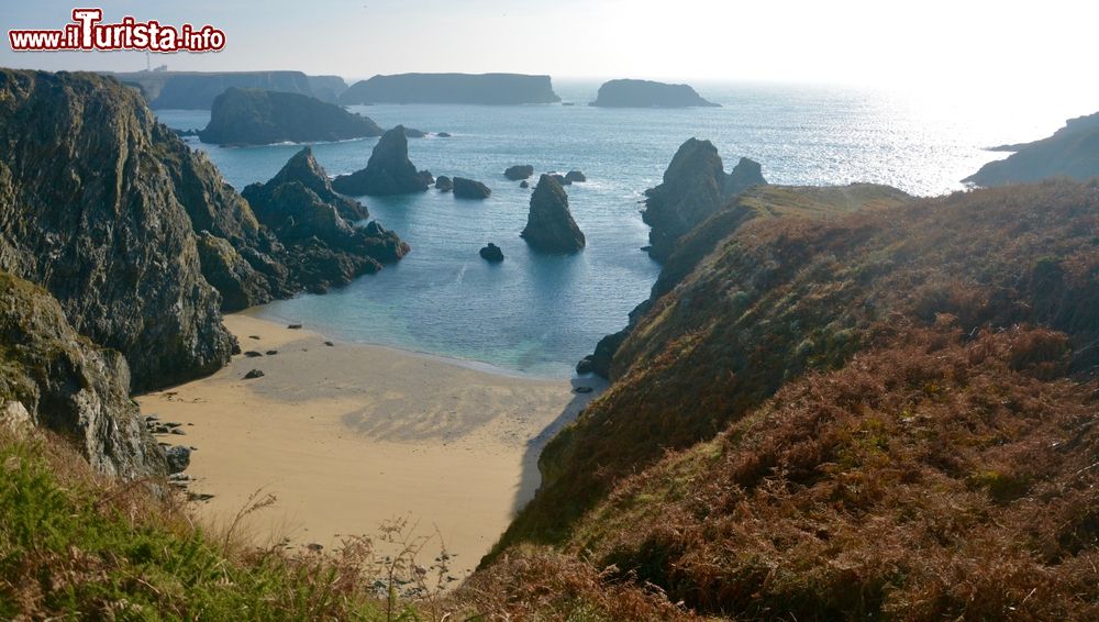 Immagine Spiaggia e scogliere a Belle Ile en Mer, Francia. Scogliere frastagliate e mare mosso sono le caratteristiche di questo territorio al nord della Francia. Qui il paesaggio rapisce per il suo fascino incontaminato e selvaggio.