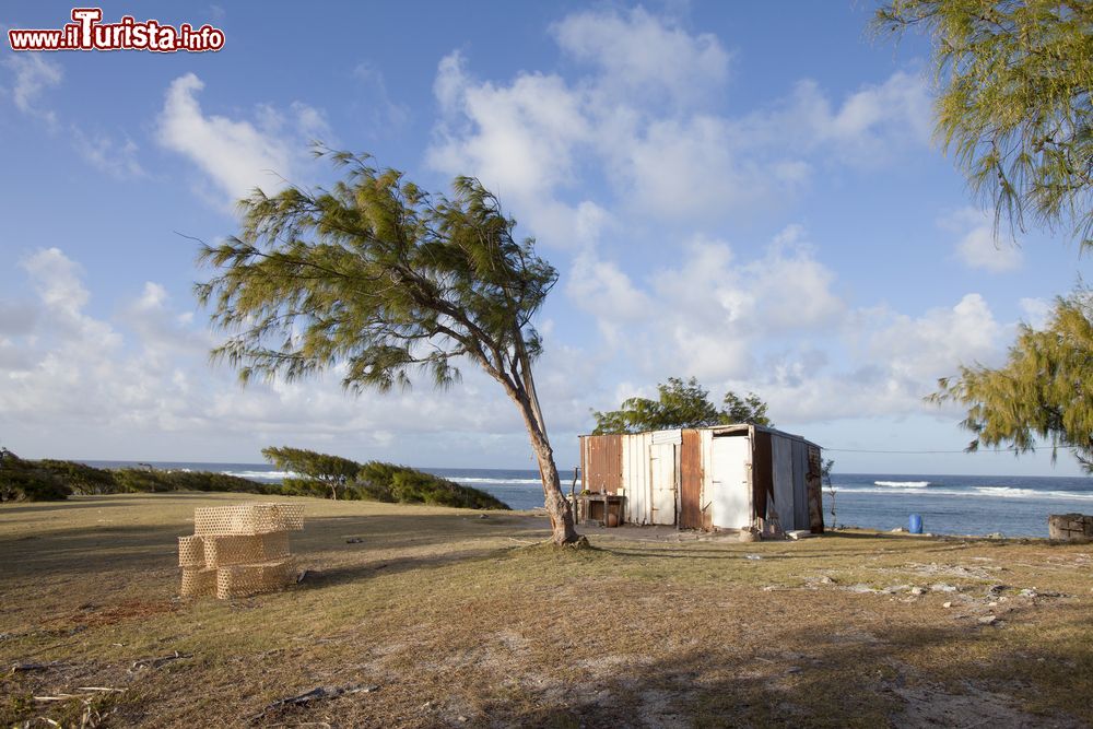 Immagine L'isola di Rodrigues, Repubblica di Mauritius. Questa piccola isoletta appartenente alla Repubblica di Mauritius, di cui è una dipendenza, si trova nel bel mezzo dell'Oceano Indiano. La superficie di 108 km quadrati ne fa la più piccola delle isole Mascarene.