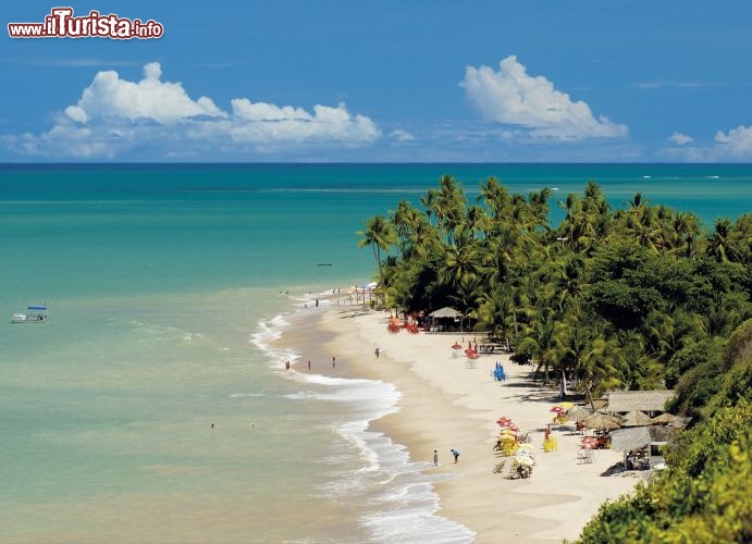 Immagine Nella Paraiba, sulla spiaggia Joao Pessoa