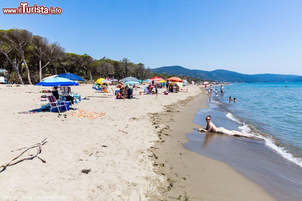 Immagine Spiaggia lbera a Marina di Alberese in Toscana - © Oscity / Shutterstock.com