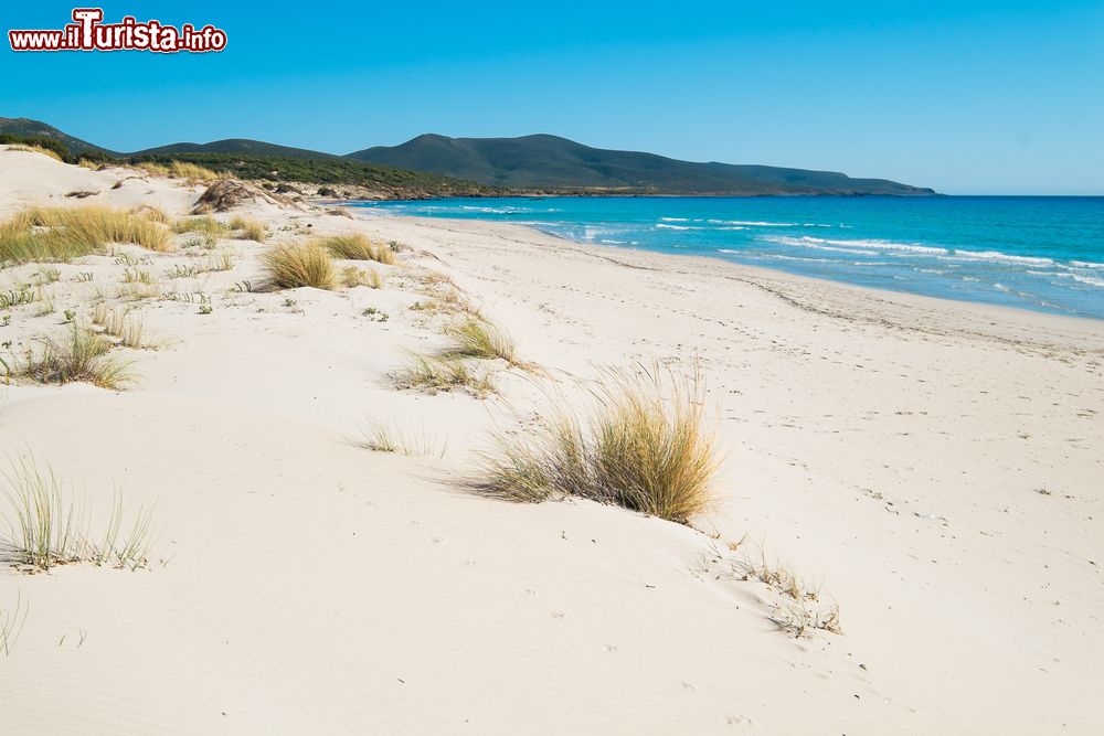 Immagine Spiaggia le Dune a Porto Pino, comune di Sant'Anna Arresi, in Sardegna