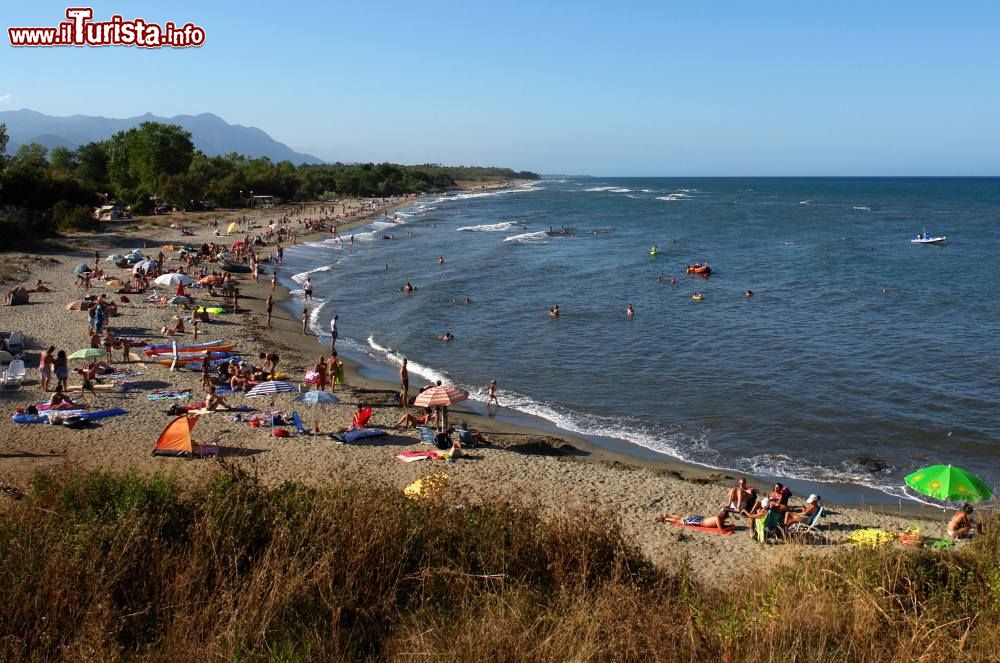 Immagine Spiaggia libera di Linguizzetta: siamo alla Marine de Bravone in Corsica