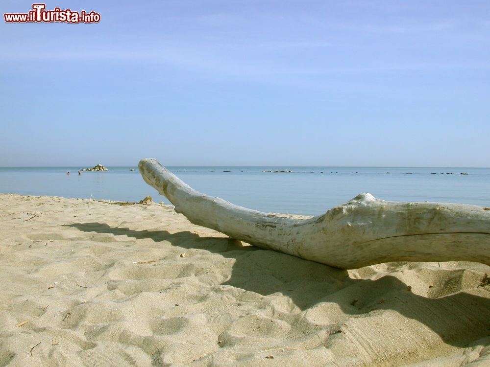 Immagine Spiaggia libera di Petacciato in Molise - © Antoniogreco~commonswiki, CC BY-SA 3.0, Wikipedia