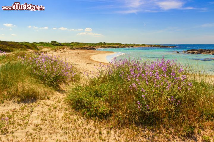 Immagine La spiaggia libera vicino a Marina di Pescoluse e Torre Pali: questa zona viene denominata come le Maldive del Salento in Puglia