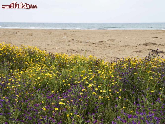 Immagine Spiaggia nei dintorni di Pachino in Sicilia - © doki / Shutterstock.com