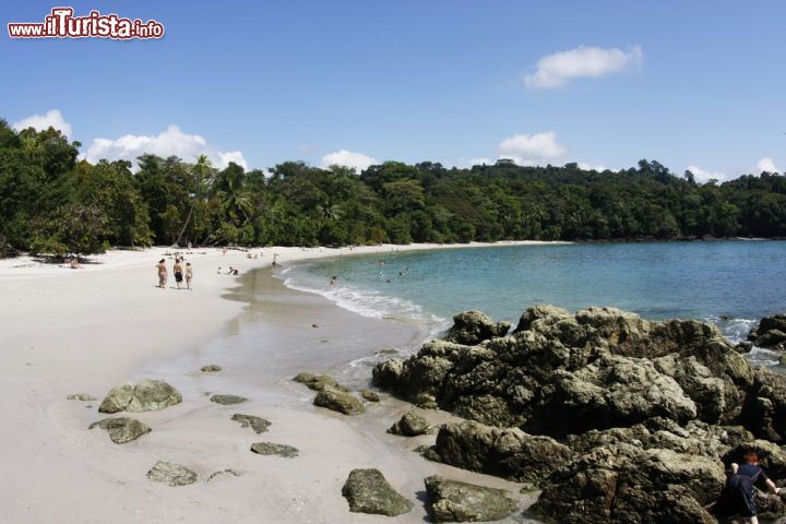 Immagine Una bella spiaggia nel Parco Nazionale Manuel Antonio del Costa Rica - © Timur Kulgarin / Shutterstock.com