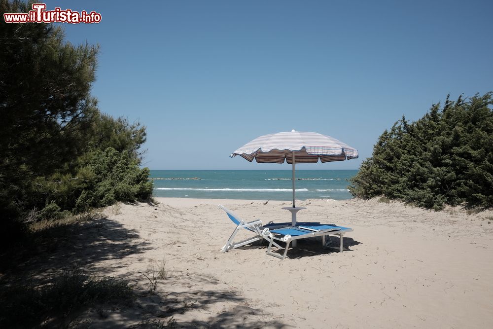 Immagine Spiaggia nella zona di Campomarino in Molise