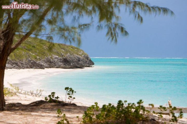 Immagine Paradiso in tutti i sensi, sia per le sue spiagge bianche che per la vegetazione lussureggiante e le possibilità di birdwatching tra grandi stormi di fenicotteri, l'isola di North Caicos è uno degli obiettivi privilegiati di una vacanza a Turks and Caicos. Si raggiunge in barca da Providenciales con una navigazione di circa  19 km, che puoò durare dai 45 minuti all'ora e mezza a seconda del mezzo scelto. Oltre ad una bella collezione di spiagge selvagge, quest'isola possiede alcuni villaggi  come Whitby, Sandy Point, Kew e Bottle Creek Village, con una popolazione complessiva di circa 1400 anime.