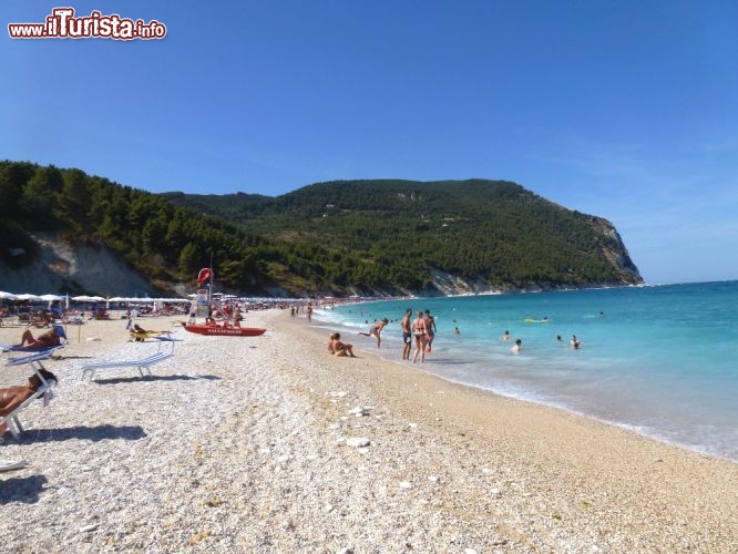 Immagine Spiaggia San Michele e Sassi Neri, a Sirolo