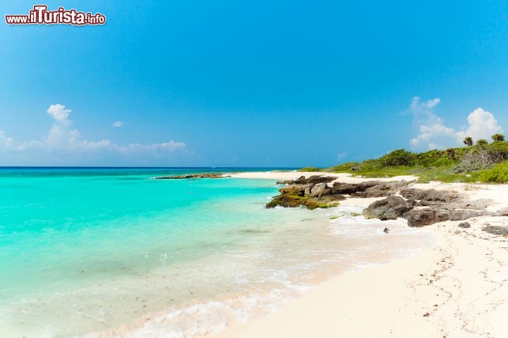 Immagine Un tratto di spiaggia selvaggia a Playacar, Messico. Lungo in questo tratto di Riviera Maya si trovano tratti di barriera corallina ideali per snorkeling ed immersioni - © Agnieszka Guzowska / Shutterstock.com