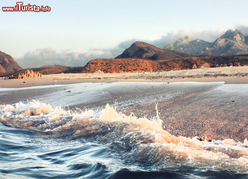Immagine Spiaggia selvaggia nei dintorni di Shengjin in Albania