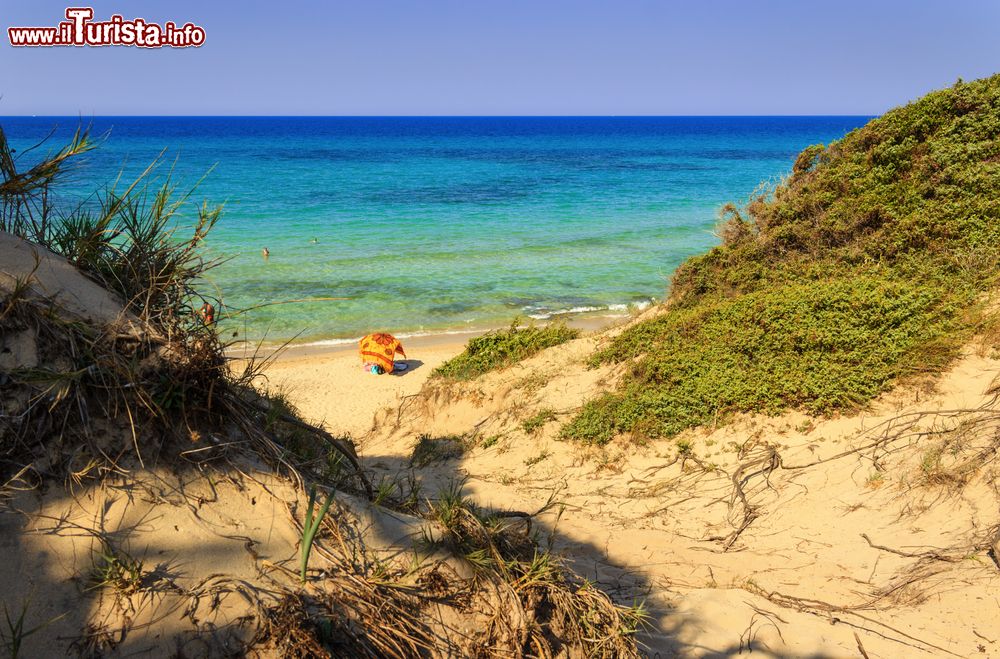 Immagine Spiaggia selvaggia nei pressi di Torre Guaceto in Puglia