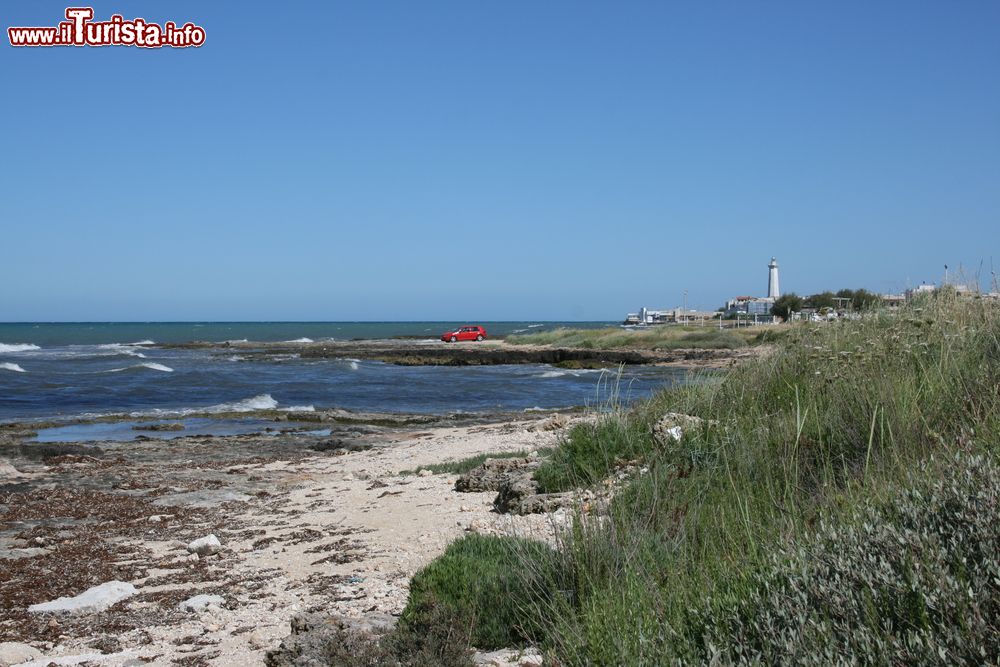 Immagine Una spiaggia selvaggia vicino a Savelletri, costa adriatica della Puglia