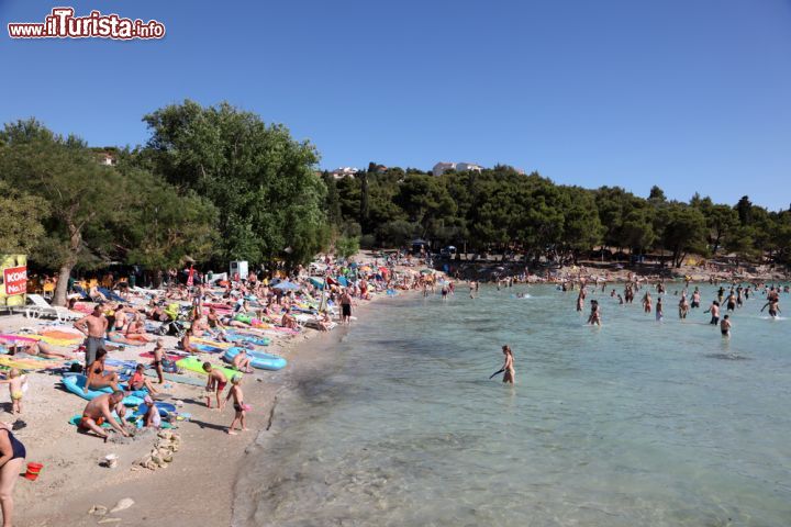 Immagine La famosa spiaggia di Slanica sull'isola di Murter, Dalmazia (Croazia) - © Philip Lange / Shutterstock.com