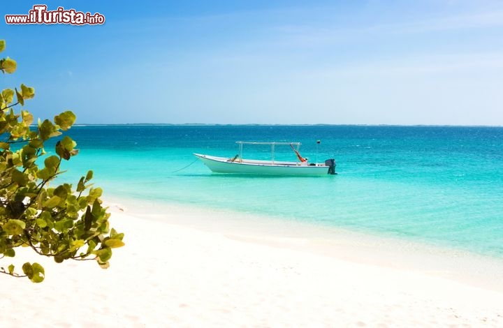 Immagine Spiaggia solitaria presso le isole Los Roques in Venezuela - © Dmitry Burlakov / Shutterstock.com