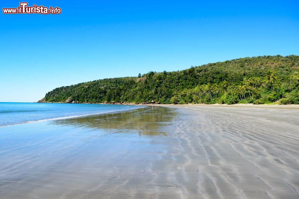 Immagine Spiaggia tropicale nel nord del Queensland a Cape Hillsborough, Australia. In questa suggestiva località a meno di 50 chilometri da Mackay le foreste incontrano l'oceano.