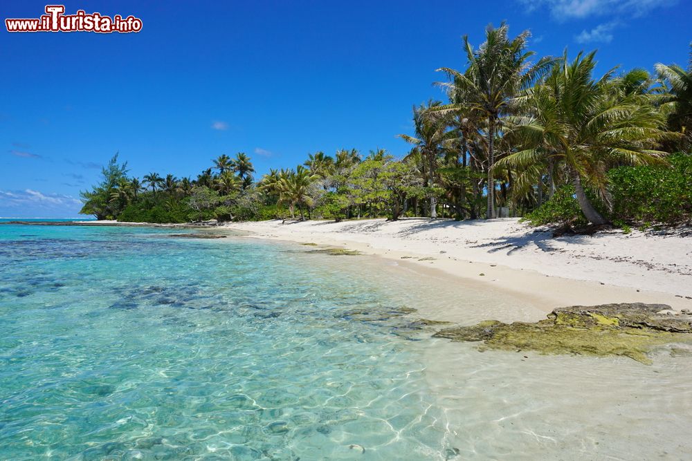 Immagine Spiaggia tropicale sulla costa di Huahine con palme da cocco, Oceano Pacifico (Polinesia Francese).