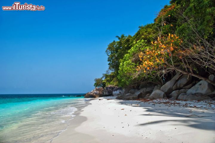 Le foto di cosa vedere e visitare a Tioman