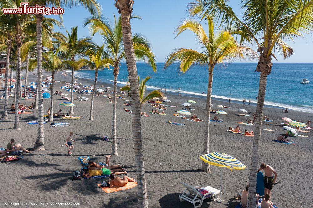 Immagine La spiaggia vulcanica di Puerto Naos sull'isola di La Palma (Canarie, Spagna) - © T.W. van Urk / Shutterstock.com