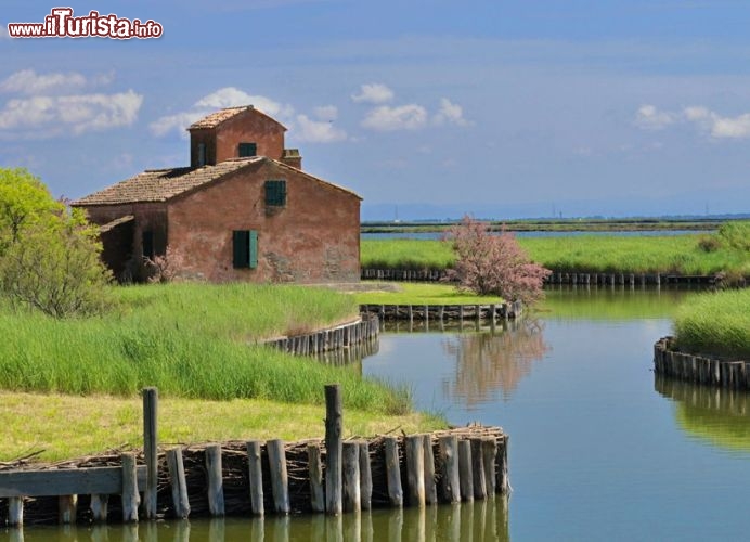 Immagine Una splendida immagine del Delta del Po nelle Valli di Comacchio, Emilia-Romagna. Comacchio suggestiona con il panorama delle sue valli che sono il residuo di un territorio di circa 11 mila ettari, ridotto poi in seguito a bonifiche, e di un'area di acqua salmastra dedicata alla pesca.