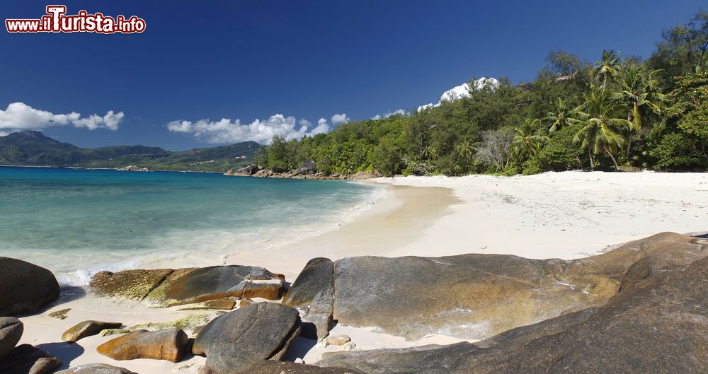 Immagine Splendida veduta di Soleil Beach, isola di Sainte Anne, Seychelles. E' una delle spiagge più pittoresche dell'isola, circondata da una natura selvaggia.