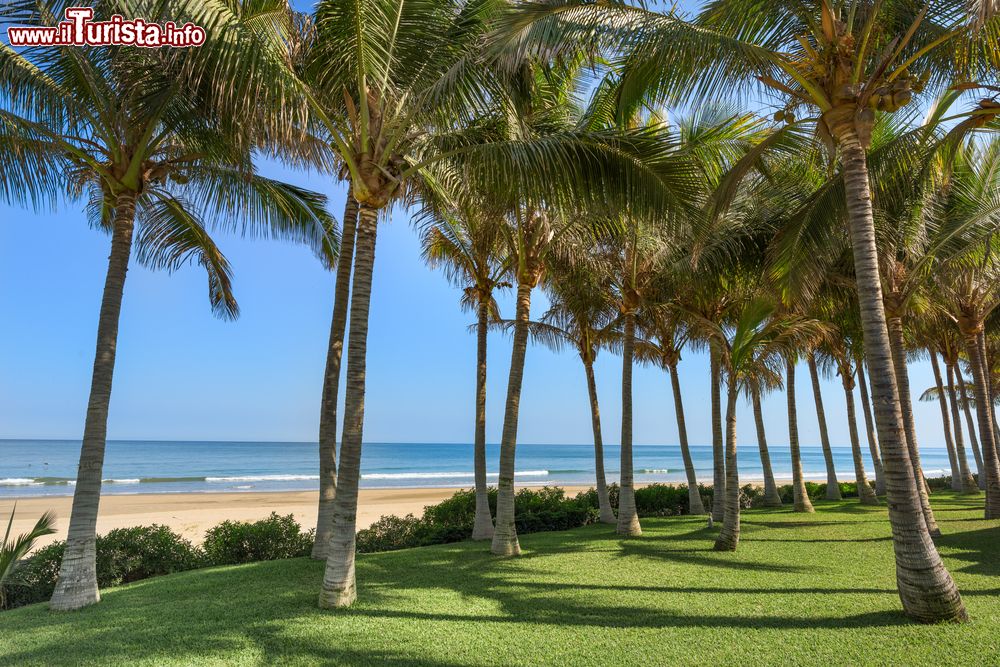 Immagine Splendide palme sulla spiaggia di Mancora, Piura, Perù. Qui, quasi al confine con la regione di Tumbes, si trova una delle più belle spiagge al mondo. Sabbia dorata lambita dalle onde del Pacifico dove splende sempre il sole.