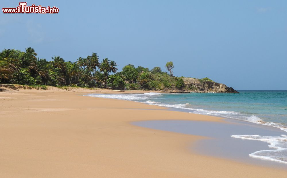 Immagine Lo splendido paesaggio della spiaggia sabbiosa La Perla a Basse-Terre, Guadalupa. Quetso luogo è set delle serie televisiva britannica "Death in Paradise".