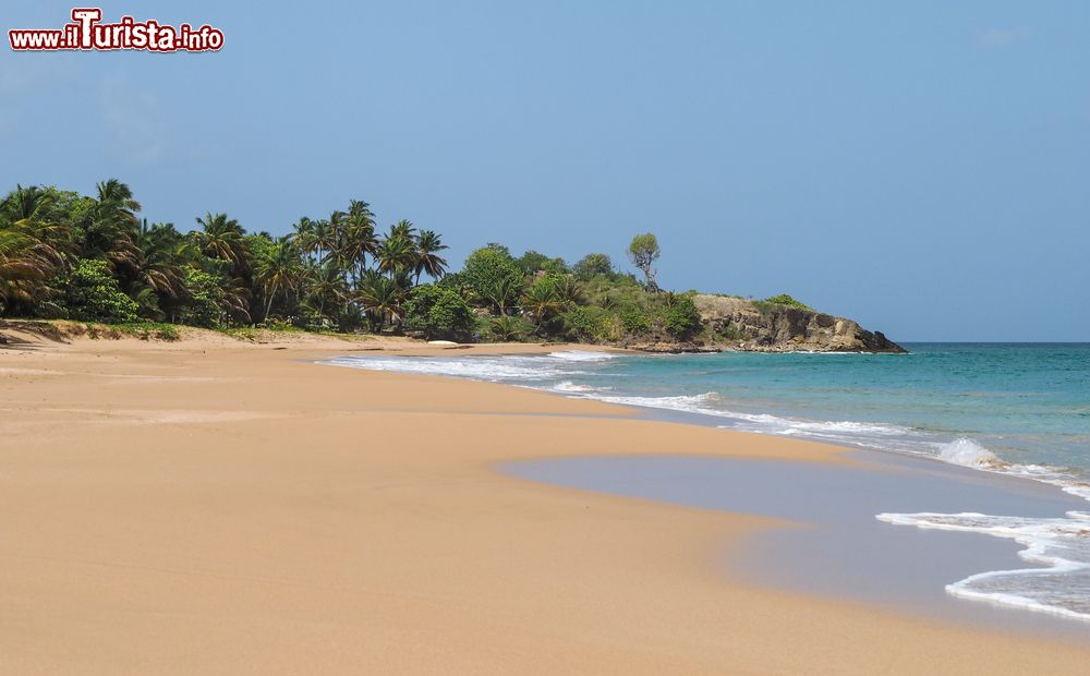 Le foto di cosa vedere e visitare a Basse-Terre