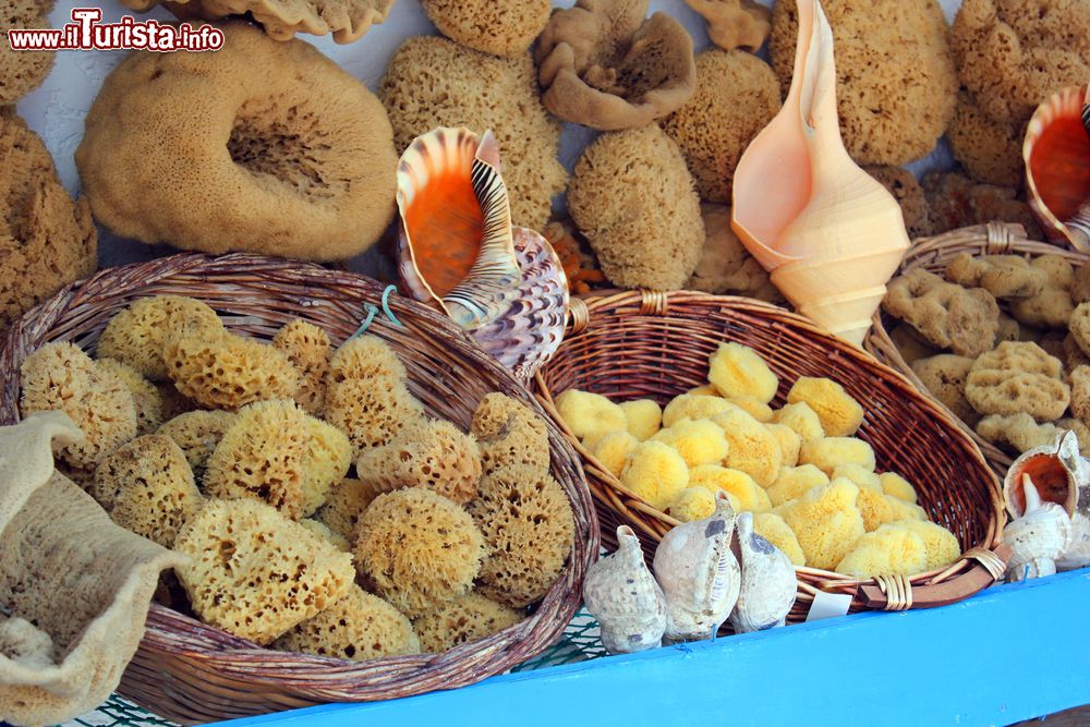 Immagine Spugne di mare esposte in un mercato locale sull'isola di Pserimos, Grecia.