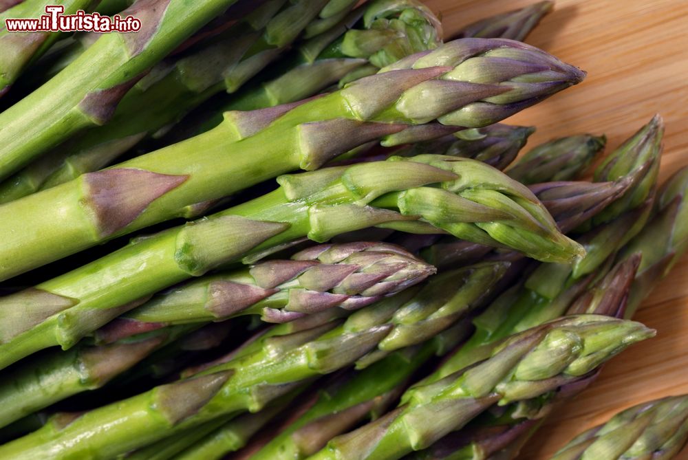 Immagine Squille di Castel Campagnano: la Sagra degli asparagi in Campania