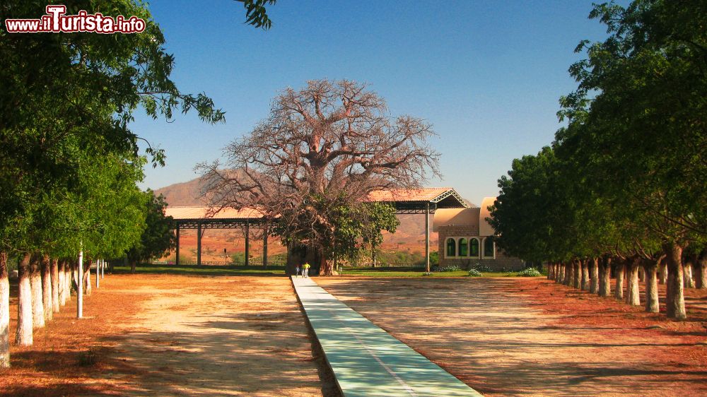 Immagine St Maryam Dearit Chapel a Keren, Eritrea. A due chilometri dal villaggio si trova il santuario dedicato a Santa Maria con una statua della Vergine all'interno di un antico baobab di oltre 500 anni. Le donne siedono all'ombra del grande albero e preparano tazze di caffé: se un viaggiatore di passaggio accetta di bere, le donne credono di essere state benedette per la fertilità. Ogni anno, a fine maggio, qui si svolge un pellegrinaggio a cui partecipano dieci mila persone provenienti da tutta l'Eritrea.