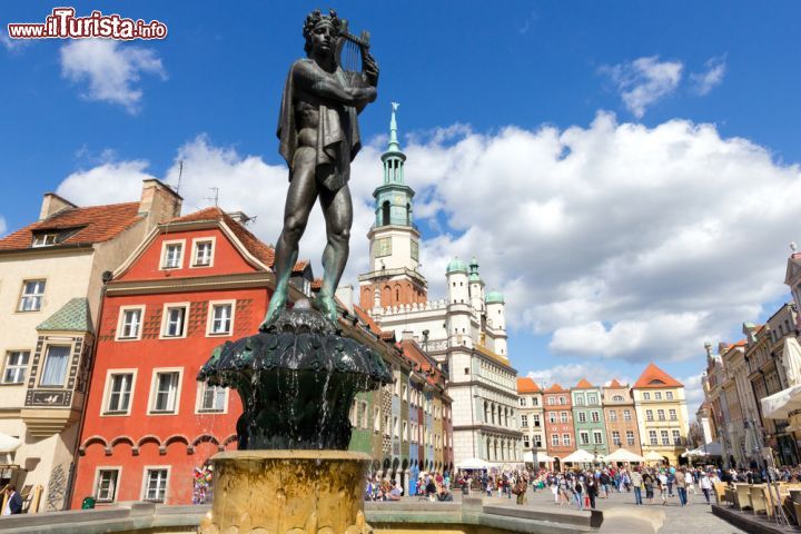 Immagine La colorata Stary Rynek di Poznan, Polonia - Questo spazio urbano, fra i più frequentati dai turisti, è nato nel 1253 da un progetto ben preciso che prevedeva la divisione di ogni lato in 16 lotti uguali. Le modifiche principali sono poi state effettuate verso la metà del 1500. La parte centrale della piazza del Mercato Vecchio ospita un gruppo di edifici ricostruiti dopo i gravi danni della seconda guerra mondiale © VanderWolf Images / Shutterstock.com