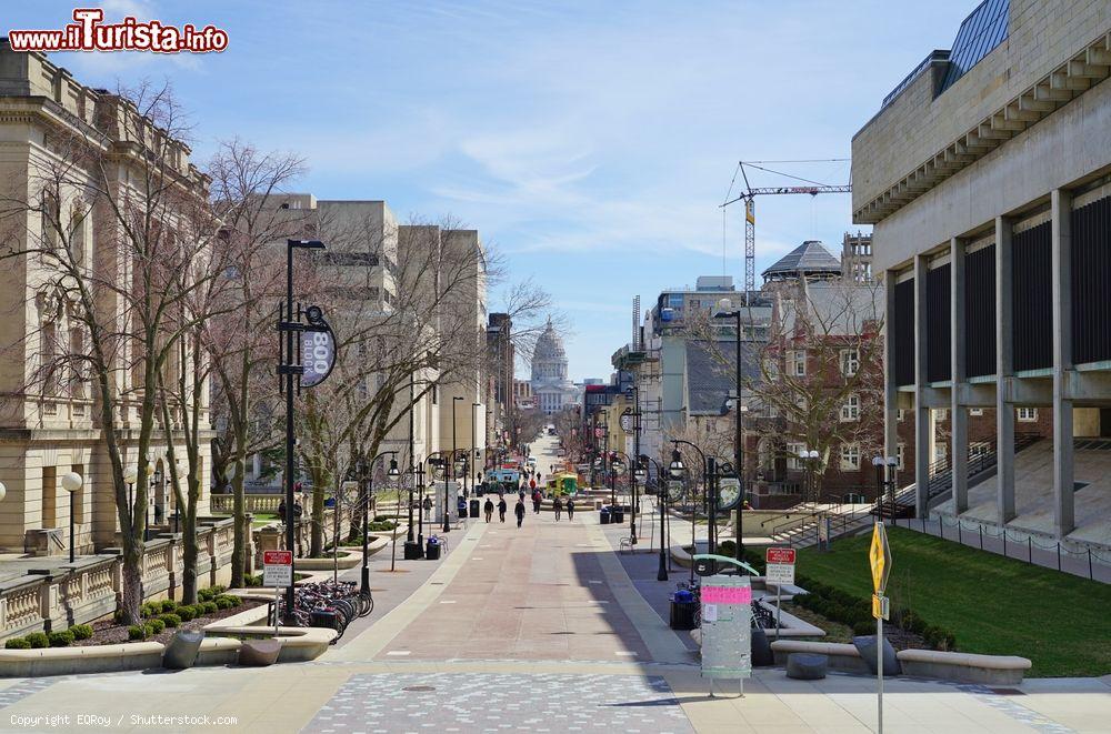 Immagine State Street, la celebre area pedonale della città di Madison nel Wisconsin, Stati Uniti d'America - © EQRoy / Shutterstock.com