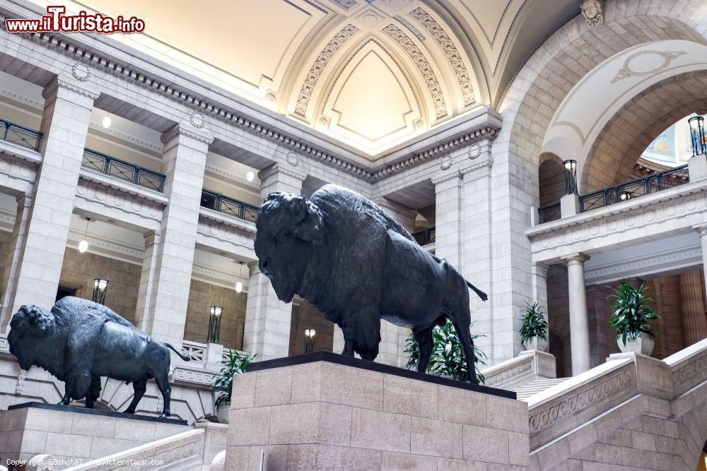 Immagine Statue di bisonti all'ingresso del palazzo legislativo di Manitoba, Winnipeg (Canada) - © SBshot87 / Shutterstock.com