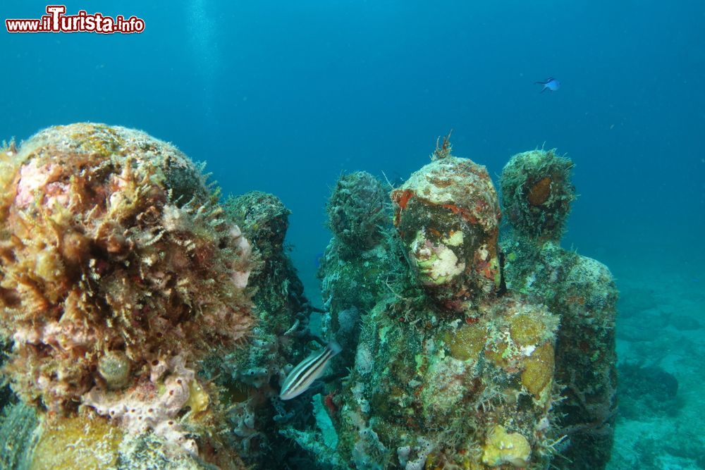 Immagine Statue sott'acqua nel Mar dei Caraibi al largo dell'Isla Mujeres, Messico.