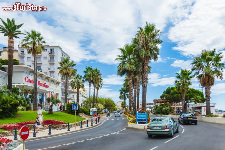 Immagine Strada costiera di Saint Raphael, Francia. Una delle tradizionali vie lungomare della città francese con le aiuole coltivate a fiori e le palme - © Littleaom / Shutterstock.com