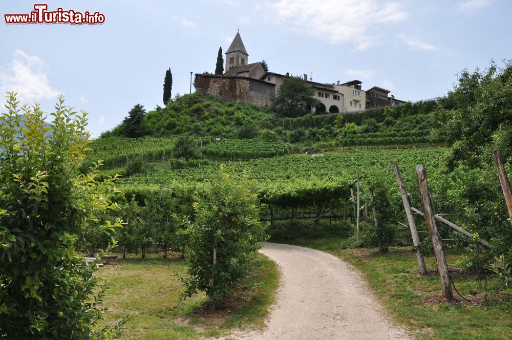 Immagine La Sudtiroler Weinstrasse nei pressi di Termeno sulla Strada del VIno in Alto Adige