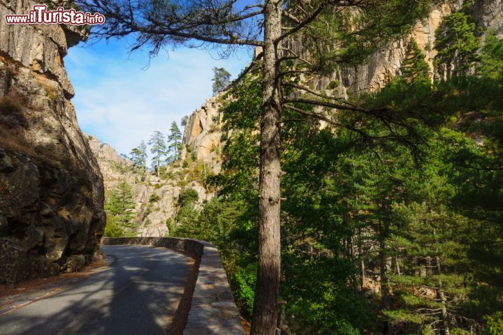 Immagine La strada della Restonica: da Corte al cuore della valle, tra ghiacciai e foreste incontaminate - a partire dal borgo di Corte, questa spettacolare strada accompagna il corso del fiume Restonica, affluente del Tavignano, per tutta la valle. Questa particolare accessibilità, rende la valle una meta molto frequentata dagli escursionisti, ai quali è però vietato sia campeggiare sul corso del fiume e sia parcheggiare in aree non autorizzate.- © RnDmS / Shutterstock.com