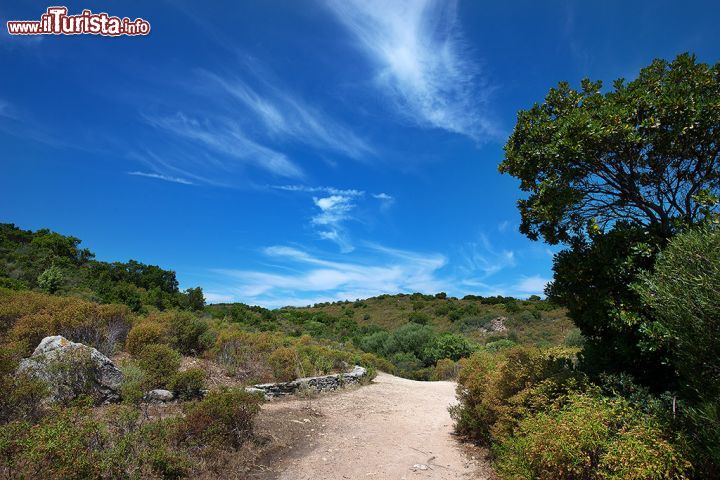 Immagine Una calda giornata estiva nel Deserto delle Agriate, Corsica - Situato tra Bastià e l'Isola Rossa, dunque nel nord della Corsica, il Deserto delle Agriate è una vasta area di macchia mediterranea, nota per essere ancora selvaggia e difficilmente praticabile. Non essendoci strade costiere, le spiagge situate nel nord di quest'area sono raggiungibili prevalentemente via mare. 