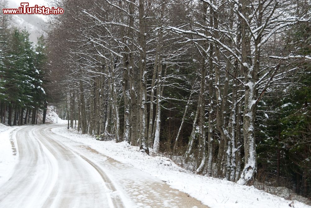 Immagine Strada di montagna con la neve in inverno sopra a Predappio, Emilia-Romagna.