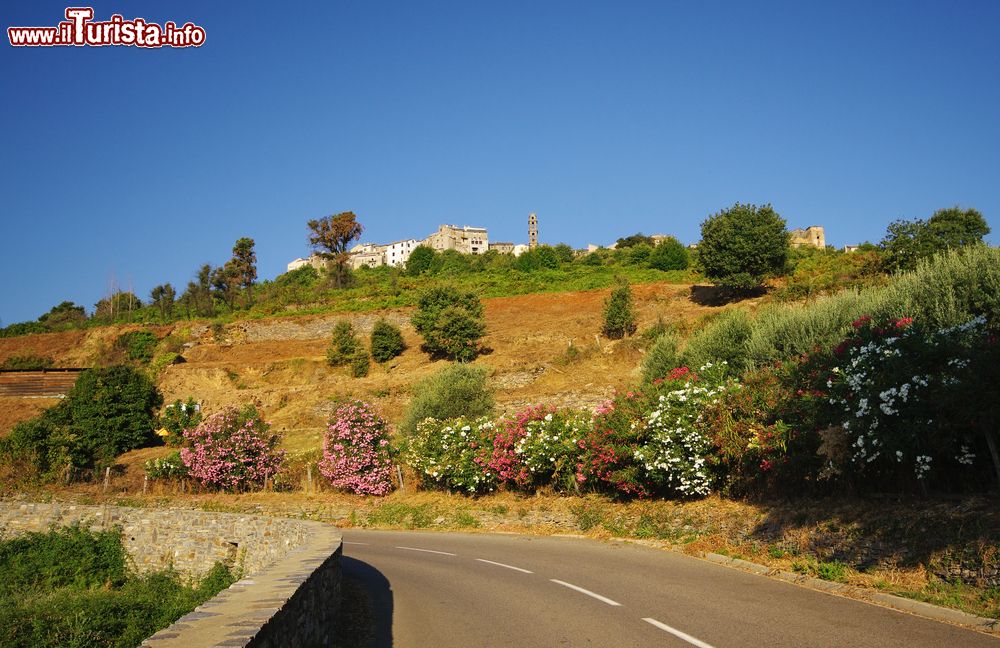 Immagine Una strada di collina in direzione di Penta di Casinca, in Corsica settentrionale
