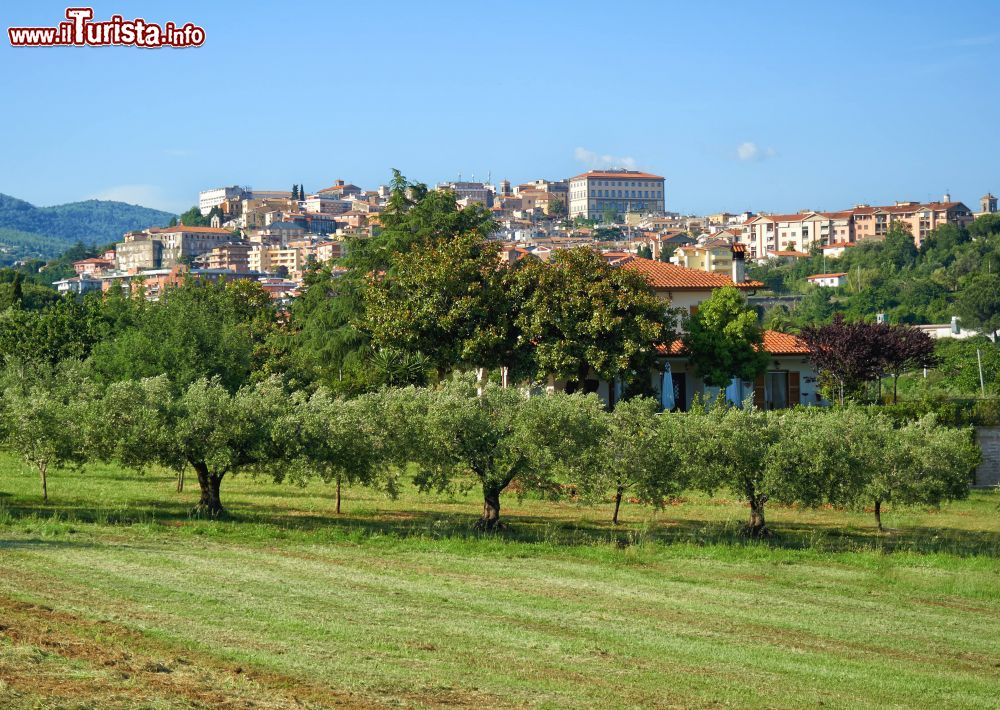 Immagine Strada nei castelli Romani: il borgo di Velletri nel Lazio