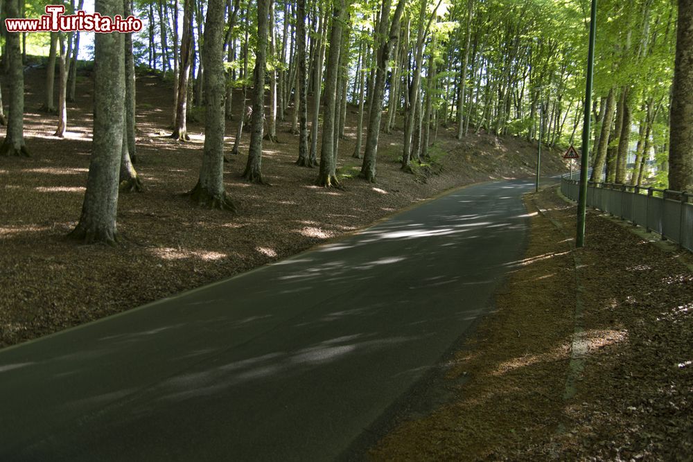 Immagine Strada sull'Aspromonte in Calabria, non lontano da San Luca.