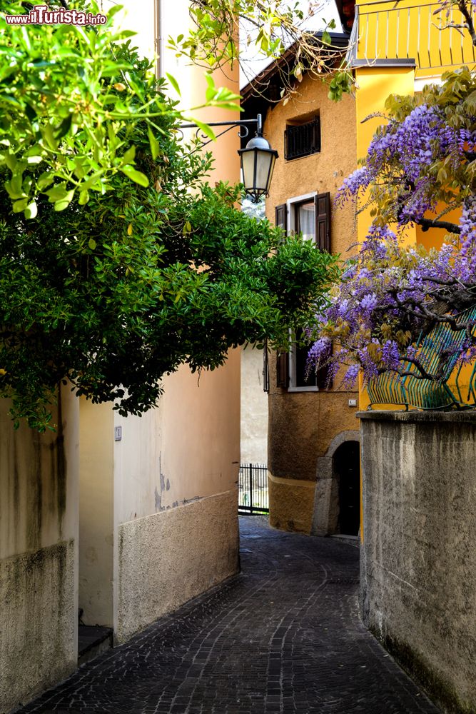 Immagine Una stradina del centro storico di Nago, provincia di Trento, con alberi e glicine in fiore.