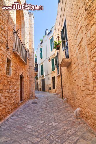 Immagine Stradina lastricata nel borgo antico di Conversano in Puglia - © Mi.Ti. / Shutterstock.com