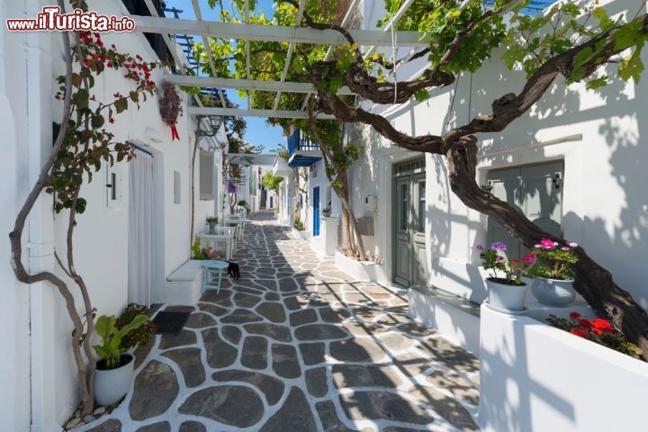 Immagine Una tipica stradina nel villaggio di Naoussa a Paros, Grecia. Passeggiare fra le vie ciottolate su cui si affacciano le case tradizionali nel quartiere vecchio di questo villaggio delle Cicladi è un'esperienza unica per ammirarne la bellezza autentica - © Haris vythoulkas / Shutterstock.com