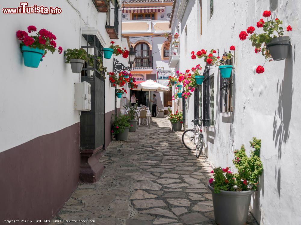 Immagine Street view del centro storico di Estepona, Spagna. Le case affacciate sono abbellite da vasi di gerani rossi e fucsia - © Philip Bird LRPS CPAGB / Shutterstock.com