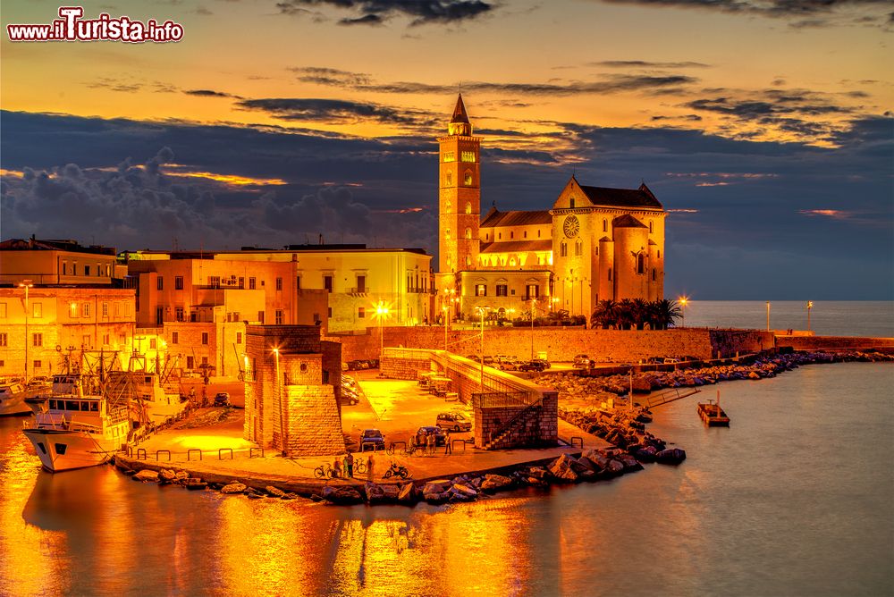 Immagine Una suggestiva veduta notturna di Trani e della cattedrale, Puglia, Italia. Grazie alla sua storia millenaria, questa cittadina è ricca di bellezze artistiche e architettoniche.