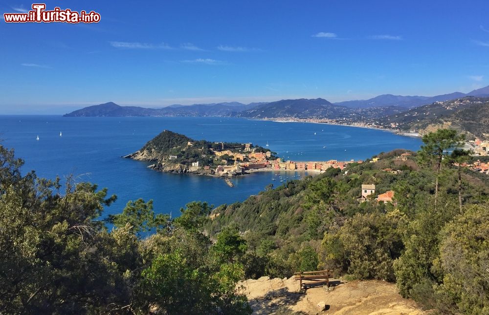 Immagine Una suggestiva veduta panoramica di Sestri Levante, Liguria, e di Punta Manara. Quest'ultima è un promontorio di forma triangolare nel Golfo del Tigullio che si estende fra Sestri e Riva Trigosio. E' soggetto a tutela ambientale.