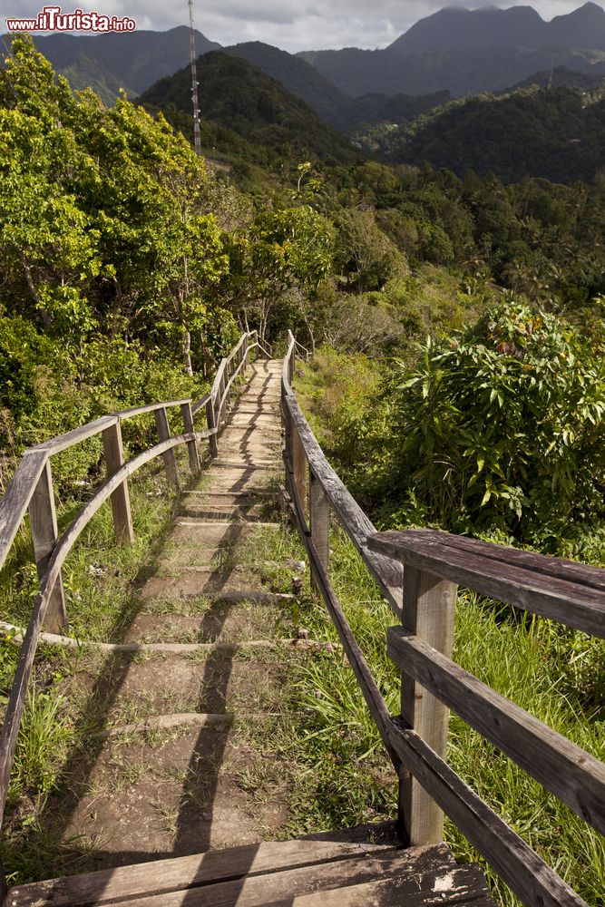 Immagine Il suggestivo percorso Tet Paul Nature sull'isola di Saint Lucia (Soufriere), popolare attrazione per gli appassionati di natura e outdoor.